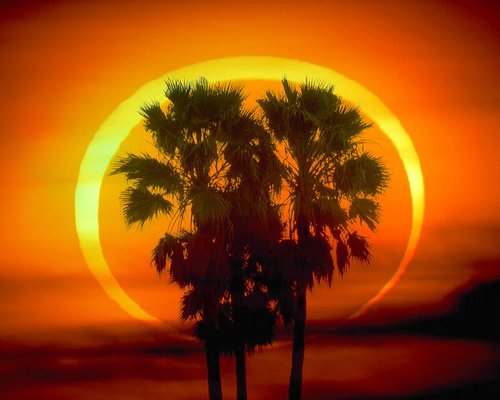 今日15時騰訊網(wǎng)全程直播日環(huán)食天象奇觀(圖)