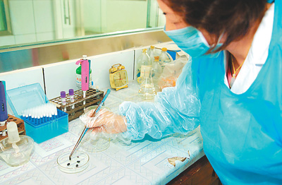 9��13��������ʡ�̳ǿh�����������Ĺ����ˆTչʾ���x��(bi��o)�����������z������DƬ��