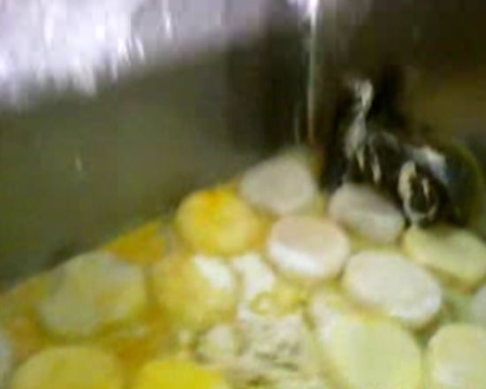 �����z�^+��ɫ��=�������z�^��