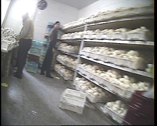 ÿ�������f(w��n)��(g��)���f�z�^�M(j��n)���Ϻ��A(li��n)�ȳ���