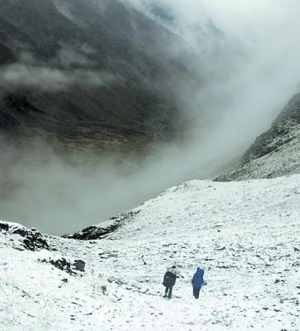 �D����ѽ��ṩ